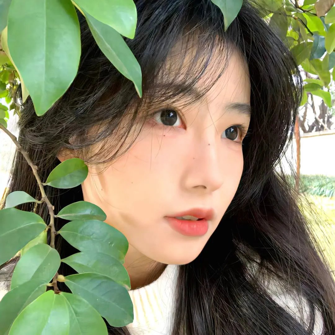 东江密令之复仇 在线观看